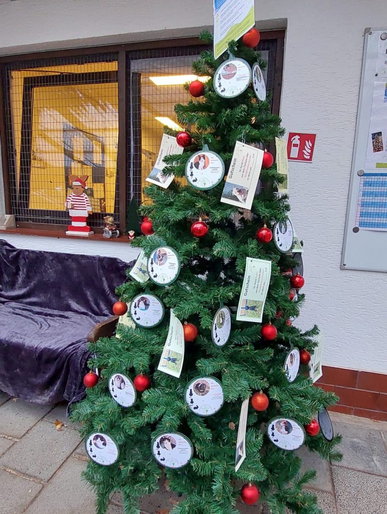 PHOTO-2025-11-30-18-40-43