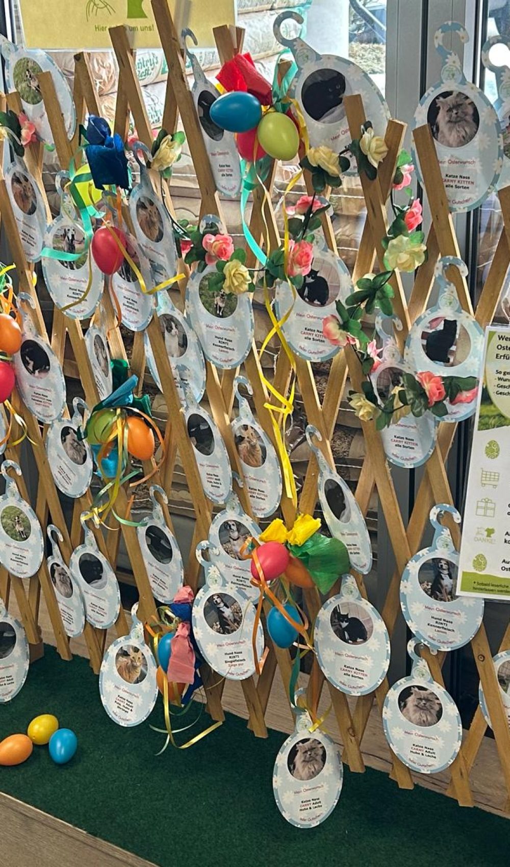 PHOTO-2026-03-13-21-45-56