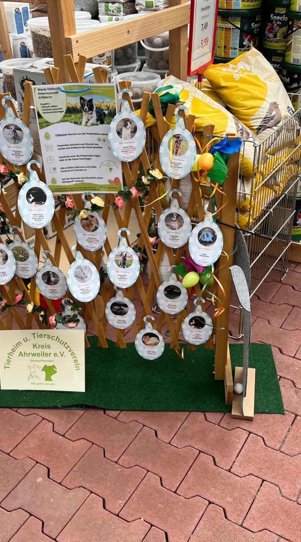 PHOTO-2026-03-16-14-24-08