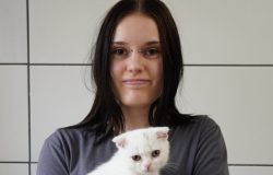 Susan Kürsten